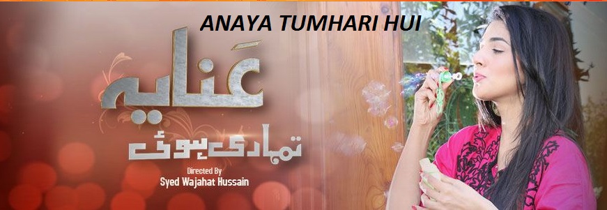 Anaya Tumhari Hui | Geo TV | Story