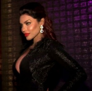 "Giselle Thakral" Big Boss Wiki Biography Real Age Wallpapers Husband Interview Profile Info details