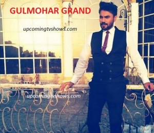 Gulmohar Grand Cast | Gulmohar Grand Star Plus