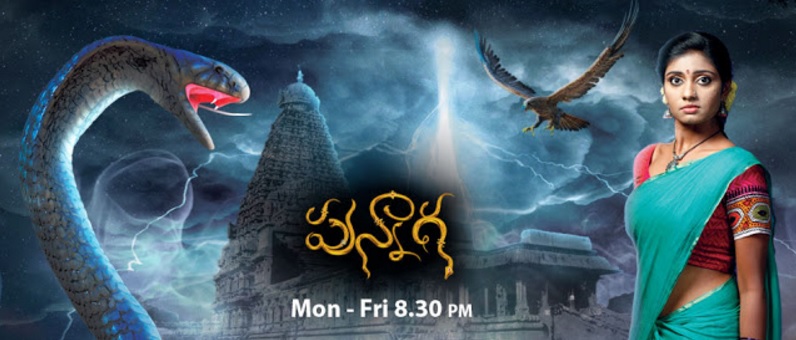 'Punnaga' Zee Teulgu Serial Wiki, Cast, Real Name, Story, Timings | droutinelife